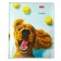 Notebook 48l Lin Learn yourself!, Obla chalk cards, rounded carcass, bl 65g/m2, mix