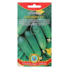 Cucumber seeds 