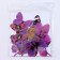 Set for decorating "Butterflies", 12 pcs, purple color