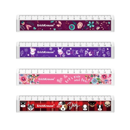 Set of Lineec 4pcs 15cm Design Erichkrause, with a notch of plastic, mix (Girl)-1