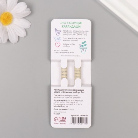 Growing gift pencils Mini "Basil + Mint" set 2 pcs.-1