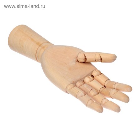 Model wooden hand, male, left, 31 cm-5