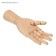 Model wooden hand, male, left, 31 cm