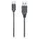 Microphone Wended Audio-Technica ATR2100X 2M black