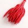 Set of dried flowers "wheat", banch 35-40 pcs, length 50-60 (+/- 6 cm), red
