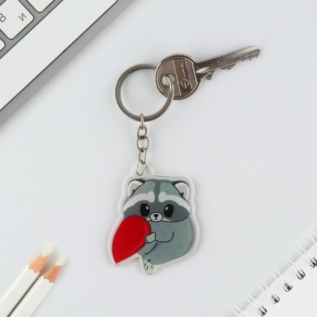Key keychain 2 pcs "Raccoon"-5