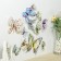 Magnet Plastic "Butterfly" set of 12 pcs mix h = 4.4.5,6,8,9,5,13,5,14.5 cm