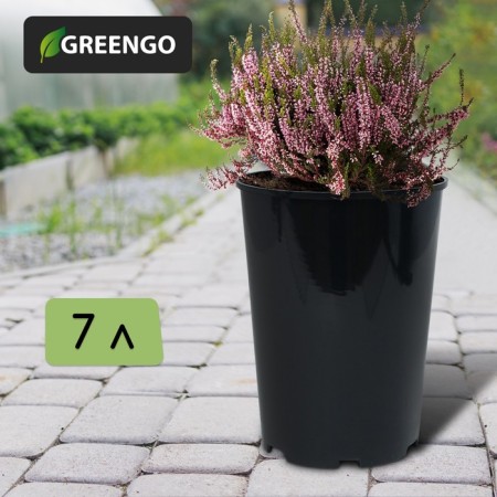 Pot for seedlings, for roses, 7 l, d = 22 cm, h = 26 cm, black, Greengo