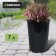 Pot for seedlings, for roses, 7 l, d = 22 cm, h = 26 cm, black, Greengo