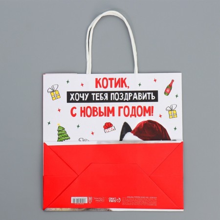 Package Gift Craft "Kotik", 22 x 22 x 11 cm, New Year-8