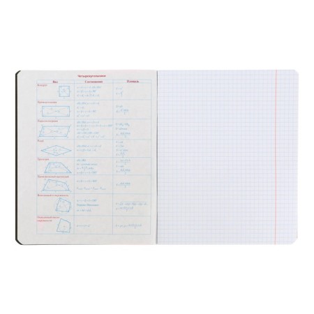 Subject notebook monocolor.element, 48 sheets in the “geometry” cage, covered cardboard, lamination of software touch, selective varnish, offset block 70 g/m2-2