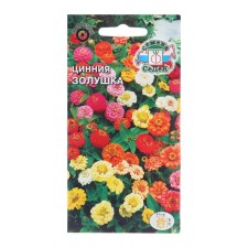 Cinnia Cinderella seeds 