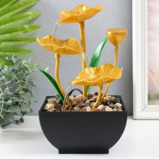 The desktop fountain from the network 