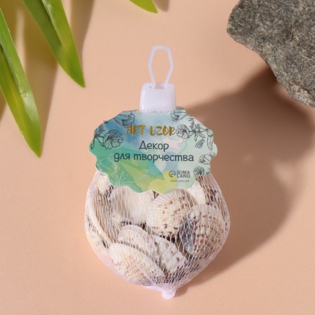 Natural decorative shells "Tiger Venus" set 100 grams-3