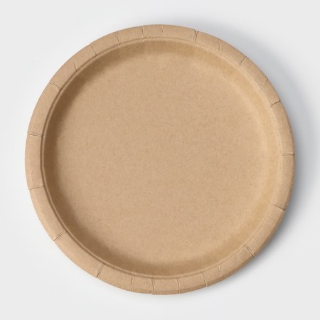 Disposable paper plate "Crafts", D = 23 cm