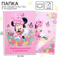 Folder for birth certificate, 1 file 21x30 cm, Minnie Mouse