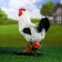 Garden figure "Chicken Ryaba" 27x16x35cm