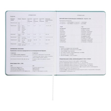 Universal diary for grade 1-11 Modern Concept, solid cover, artificial leather, silkography, liesse, 80 g/m2-10