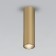 Ceiling accent Elektrostandard, Pika LED 6 W, 120x30x30 mm, IP20, Gold Color