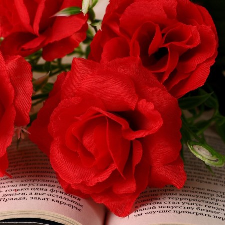 Букет "Роза Диксон" 6х27 см, микс-1