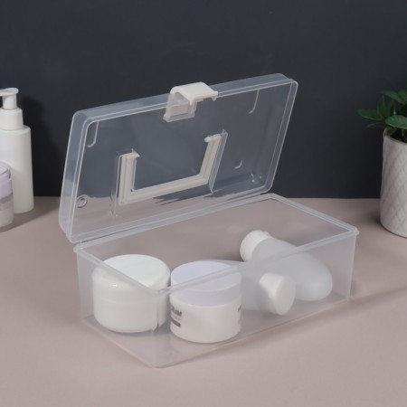 Organizer with a 1 Sectic lid 23*13*9.5cm transparent/BEN V/u UKL QF-2