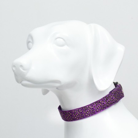 Collar with backlight leopard 3 glow modes, size L, Osh 48-60 x 2.5 cm violet-2