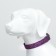Collar with backlight leopard 3 glow modes, size L, Osh 48-60 x 2.5 cm violet