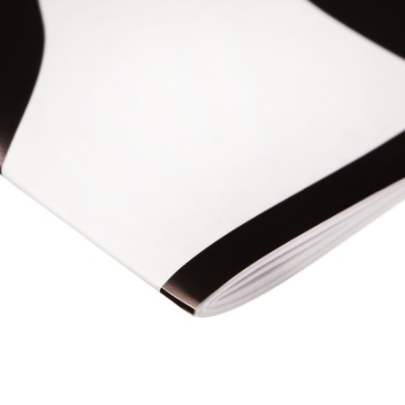 AT A5 notebook, 32 sheets "Dangerous Goose", cover Cover Cardboard, Block 100 g/m2-2