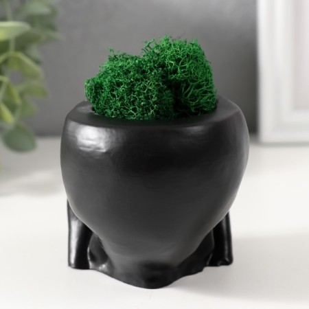 Kashpo concrete "Seek Skull" with moss 7x10 cm black (moss green stabilized)-2