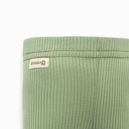Костюм: джемпер и леггинсы Крошка, Я BASIC LINE, рост 80-86 см, зелёный-7