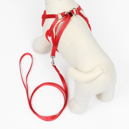 A set with a soft harness and a bantic "Cell", size M, leash 120 x 1.5 cm, og 28-46 cm-2