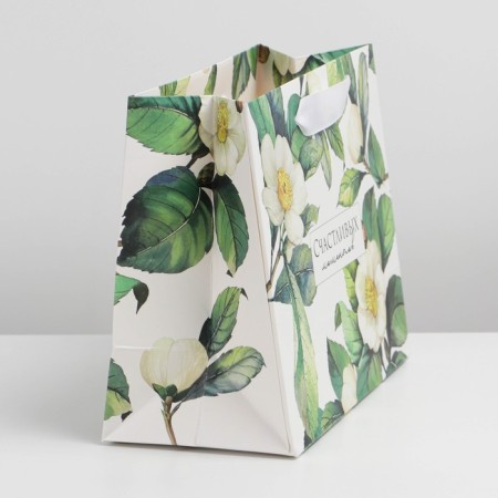 Gift Laminated Horizontal Package, Packaging, Happy Moments, MS 23 x 18 x 10 cm-1