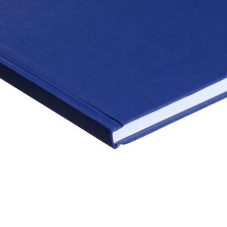 Book of accounting, 96 sheets, boumvinyl cover, offset block, line, blue color-2