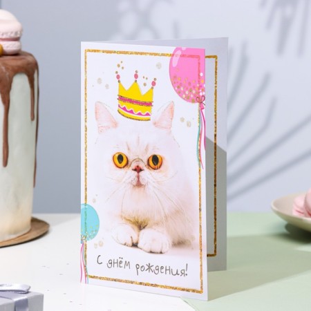 Birthday card!" Cat, A5-1