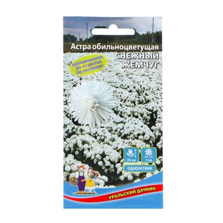 Seeds of flowers Astra abundantly flowering "snow pearls", 0, 25 g