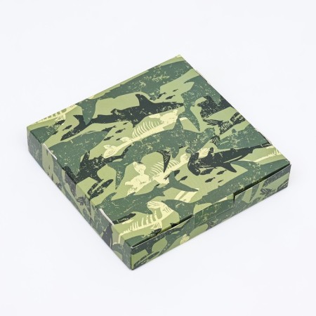 Self -charged box, "military", 16 x 16 x 3 cm-3