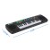 Children's musical instrument "Synthesizer: Musical Eide Frame", with a microphone, 31 key