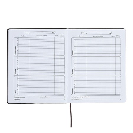 The universal diary for the 1-11 classes "Anime", a solid cover made of artificial leather, application, lies, 48 ​​sheets, black-6