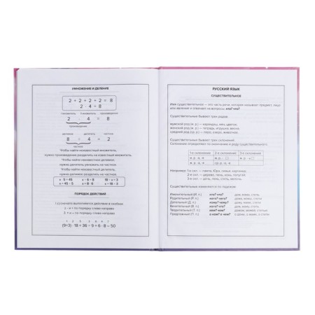 School diary for grades 1-11, 48 sheets "Alice", hard cover, selective pearl varnish, foil embossing, matte lamination, universal cheat sheet, block 65g/m2-11