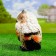 Garden figure "Eagle Filil" 20cm
