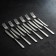 Set of dining room "Triumph", 24 items, thickness 2 mm, souvenir box, silver color