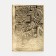 Cover for passport, gold color