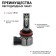 LED AUTOPROFI, H11, 12V / 15W, 6000K, 4000 LM, 2 pcs in a set