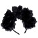 Black Flower rim
