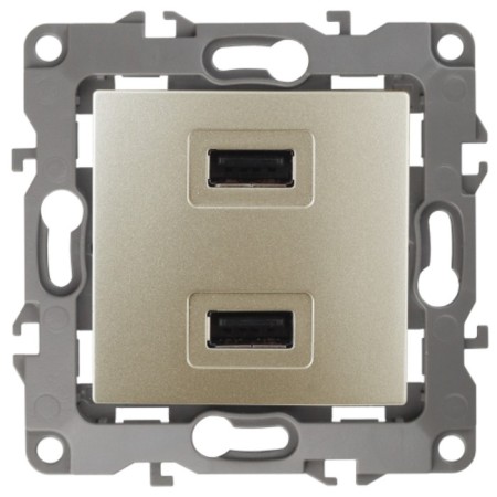 USB charger device, 230V/5V-2100MA, IP20, era12, champagne