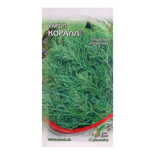 Semen dill 