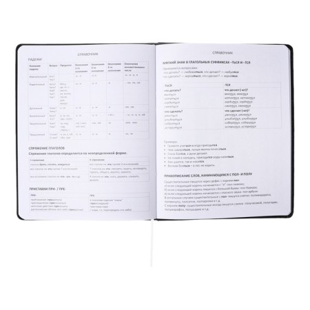Universal diary for grade 1-11 Tokyo Girls, solid cover, artificial leather, foam rubber, liesse, 80 g/m2-10
