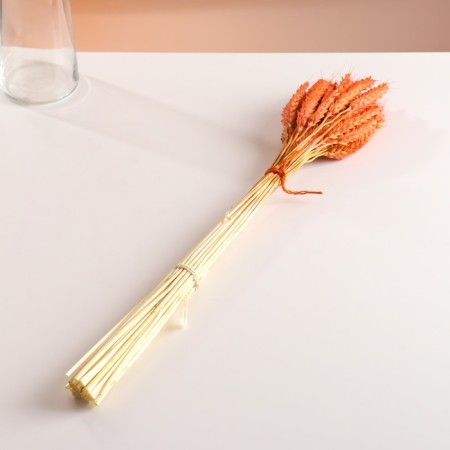 A set of dried flowers "wheat", a ban 35-40 pcs, length 55-65 (+/- 6 cm), orange-3