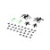 Set of insects "ants"
