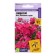 Seeds with Levka Katz "Pink Miracle", 8 pcs.